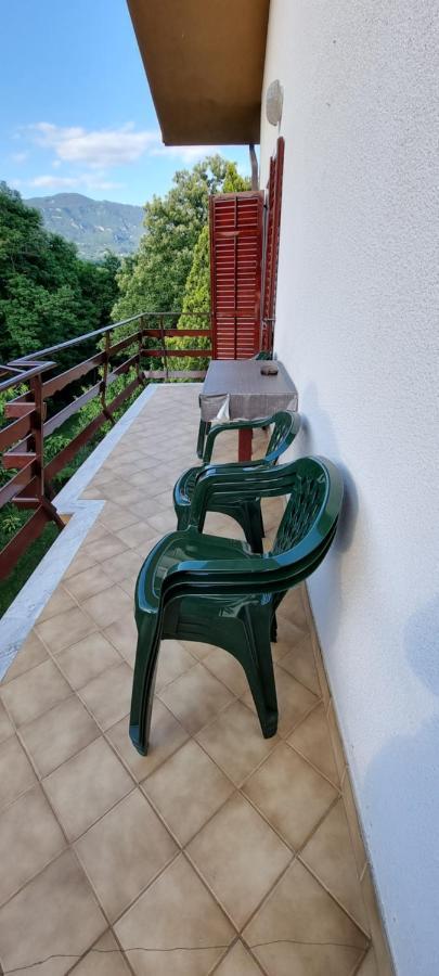 Pri Stari Murvi Vogrsko Kültér fotó